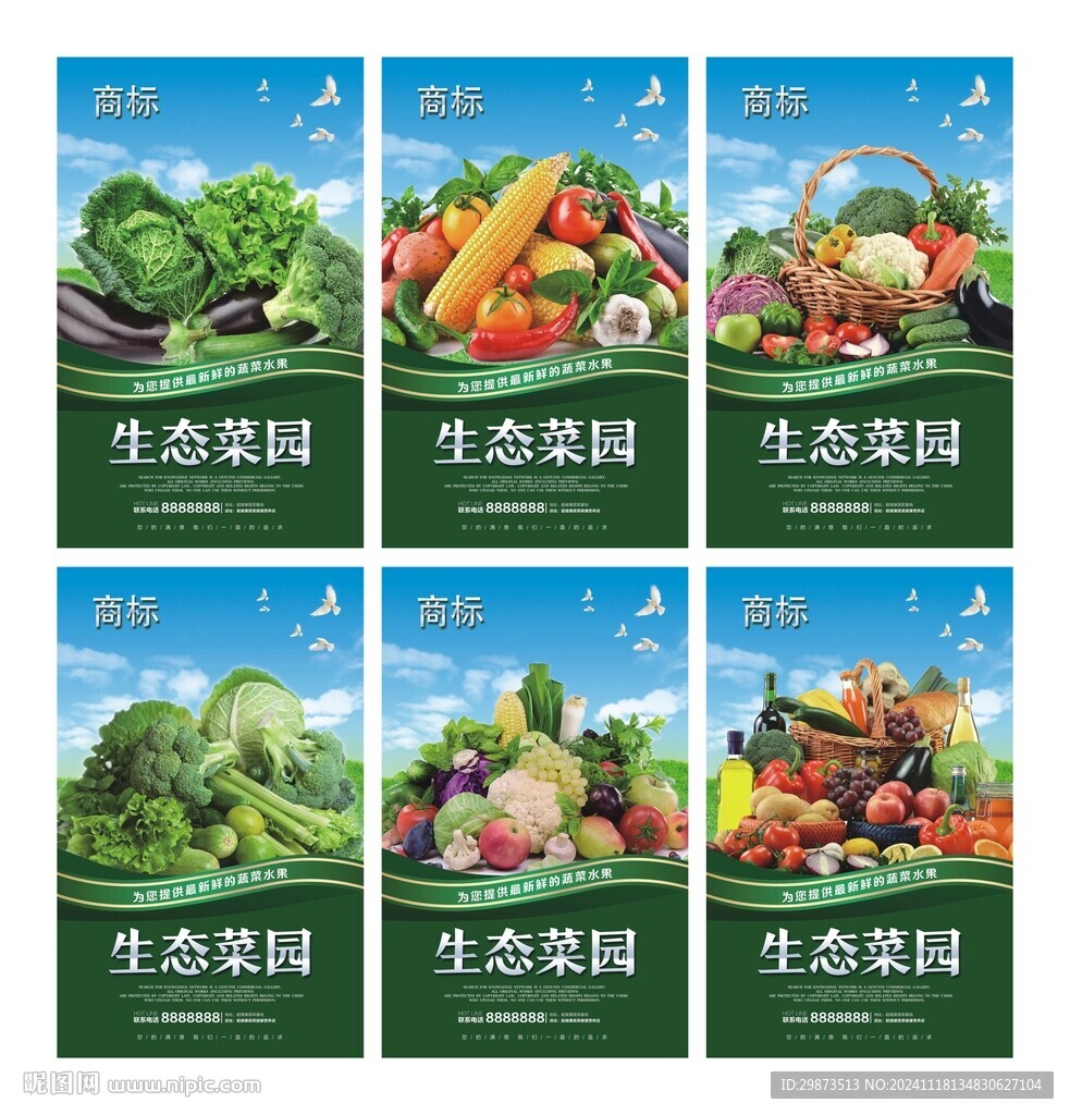 有機蔬菜圖片