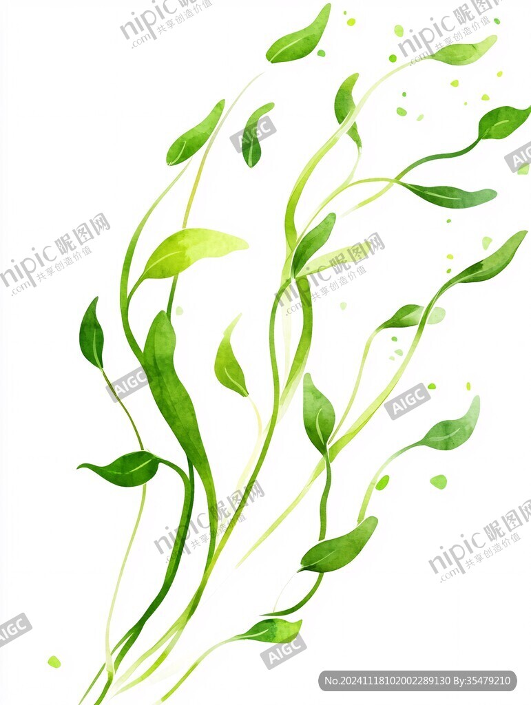 手繪綠蘿藤條