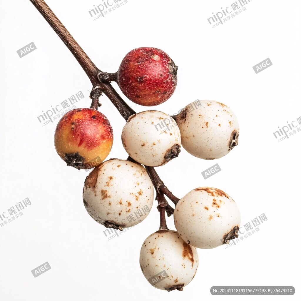 羊奶果白底圖