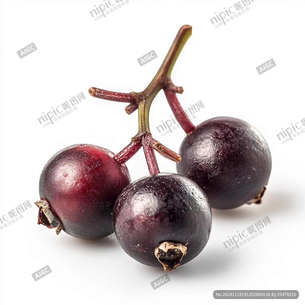 烏梅白底圖片