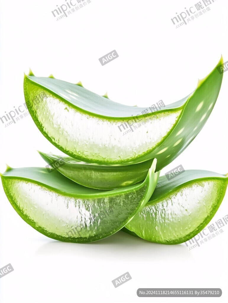 蘆薈鮮葉片素材