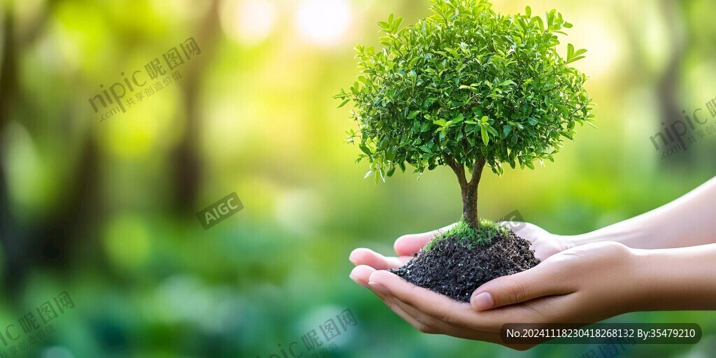 環(huán)保種植植樹園藝