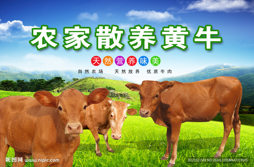 黃牛