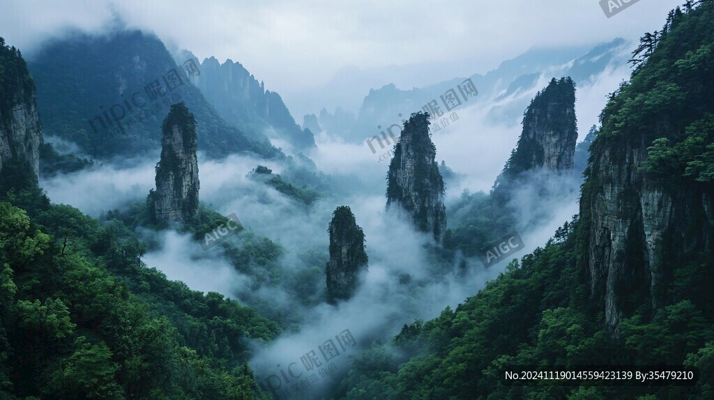 神堂灣迷霧