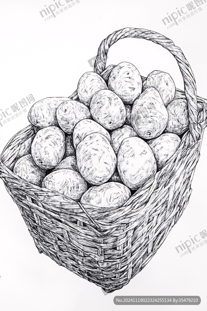 素描水果籃