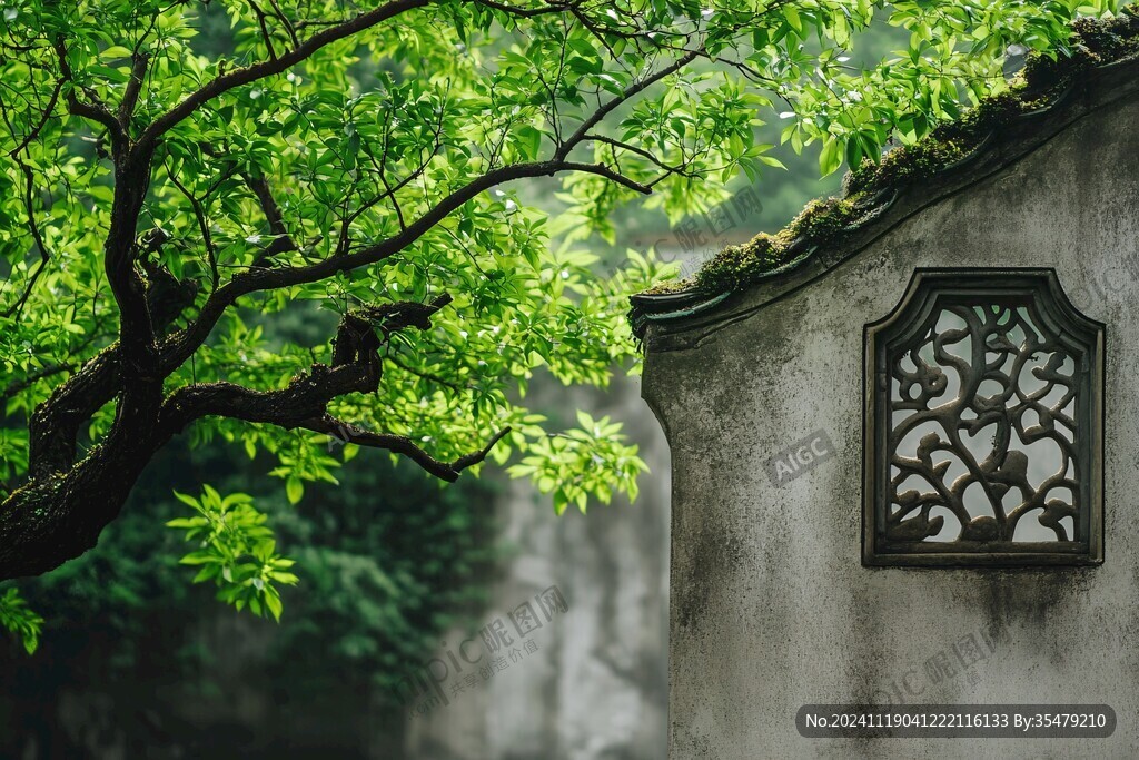 古窗與綠樹