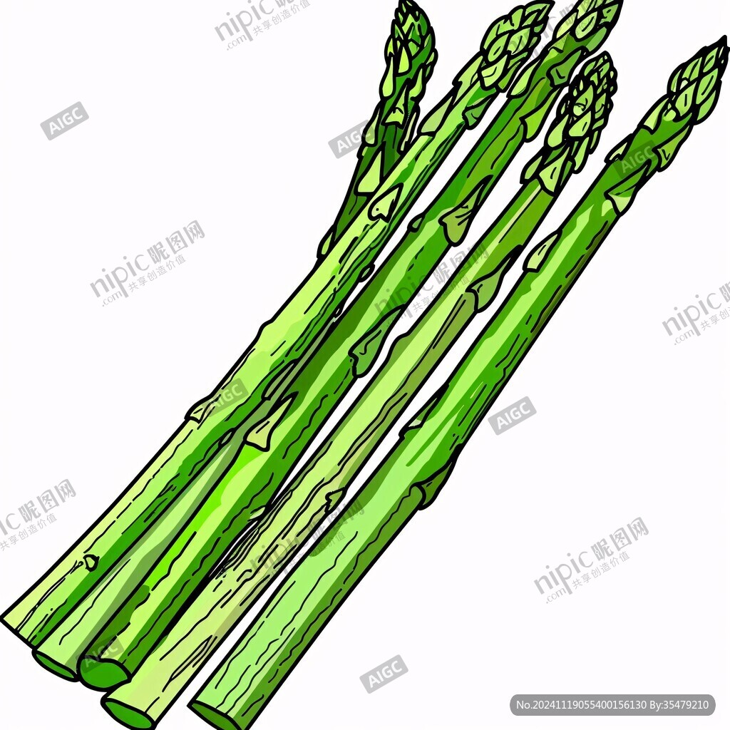 蘆筍插畫