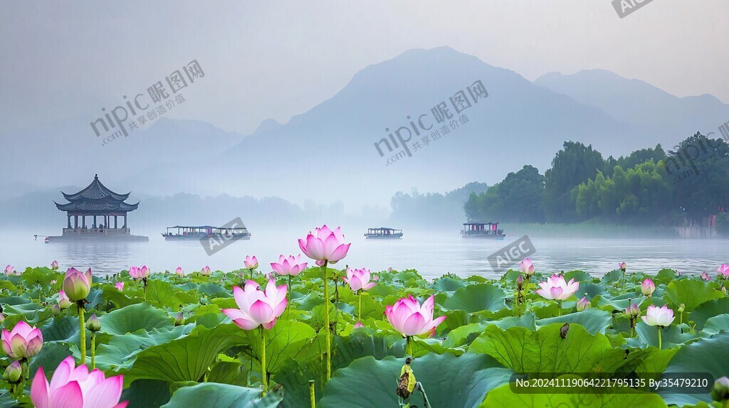 桃花潭荷花
