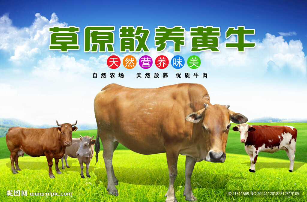 黃牛