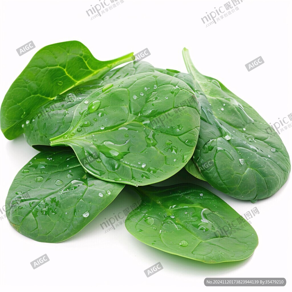 菠菜圖片素材