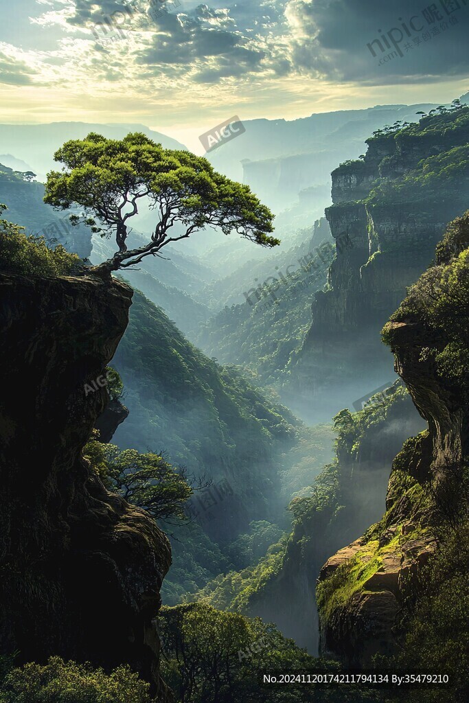 峭壁一棵樹
