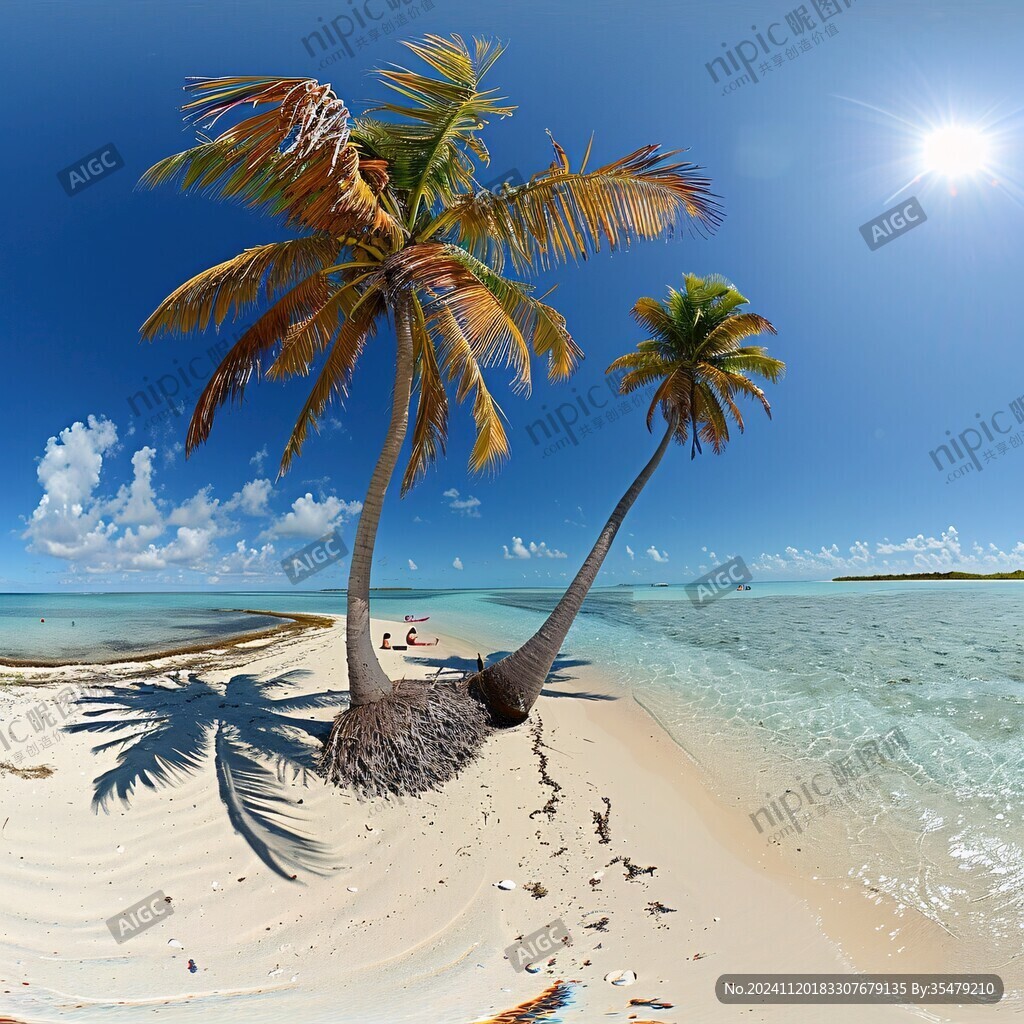 海灘椰樹風(fēng)景