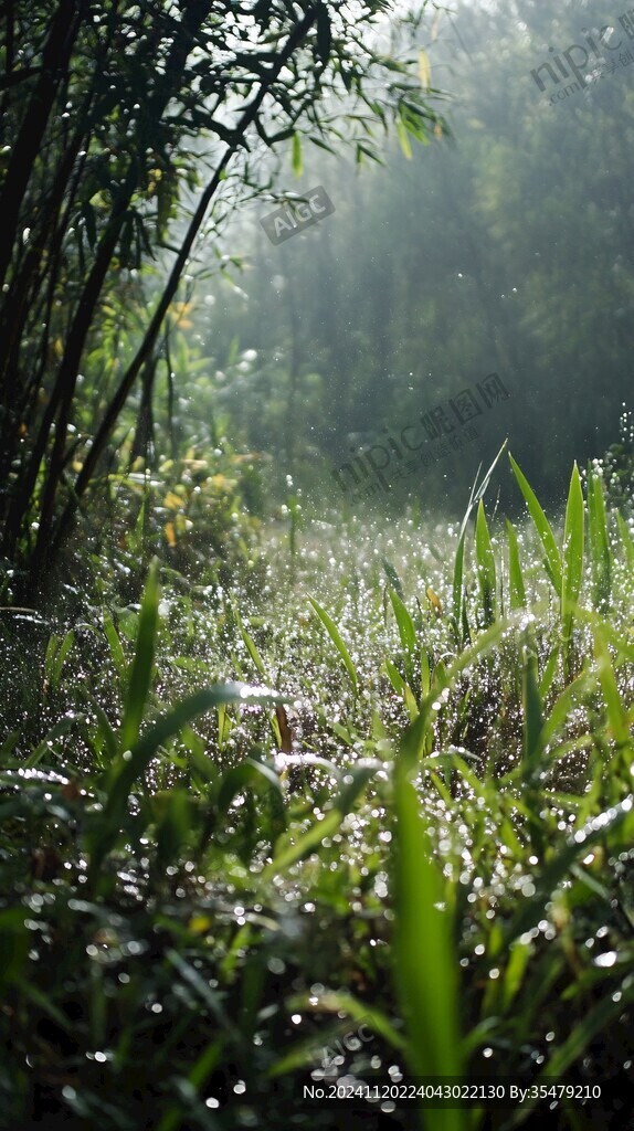 雨露陽光