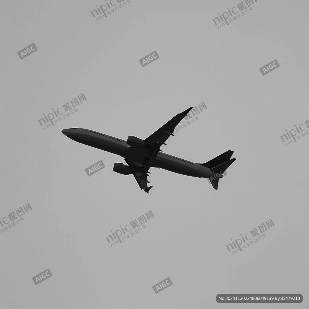 灰藍天空下飛機劃過