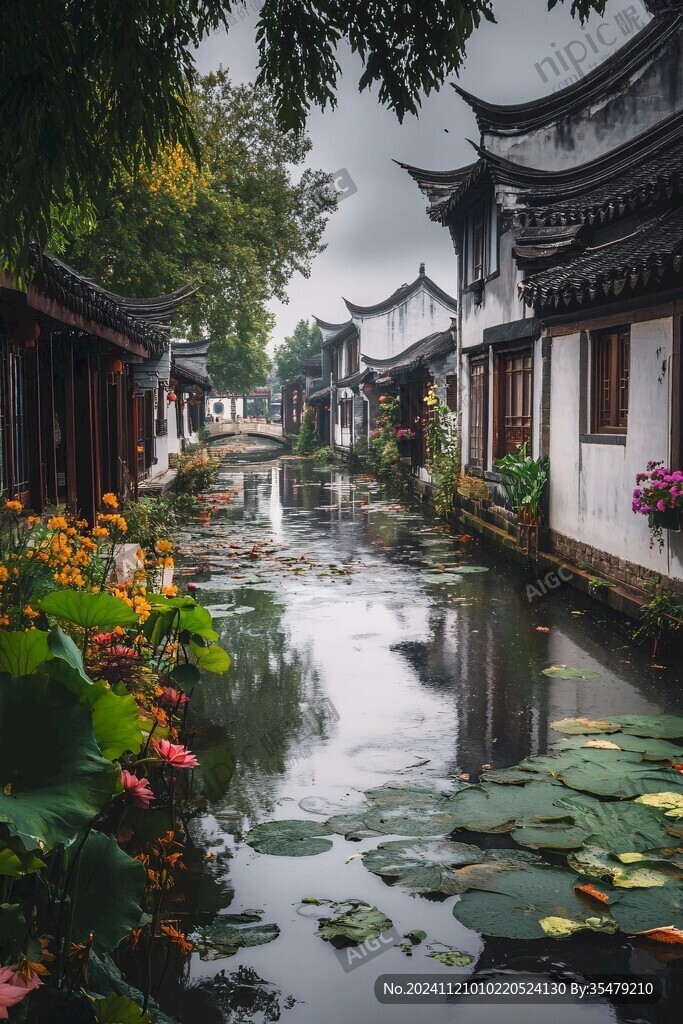 月沼風(fēng)荷