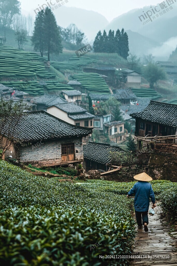 苗寨村落田園茶農旅游