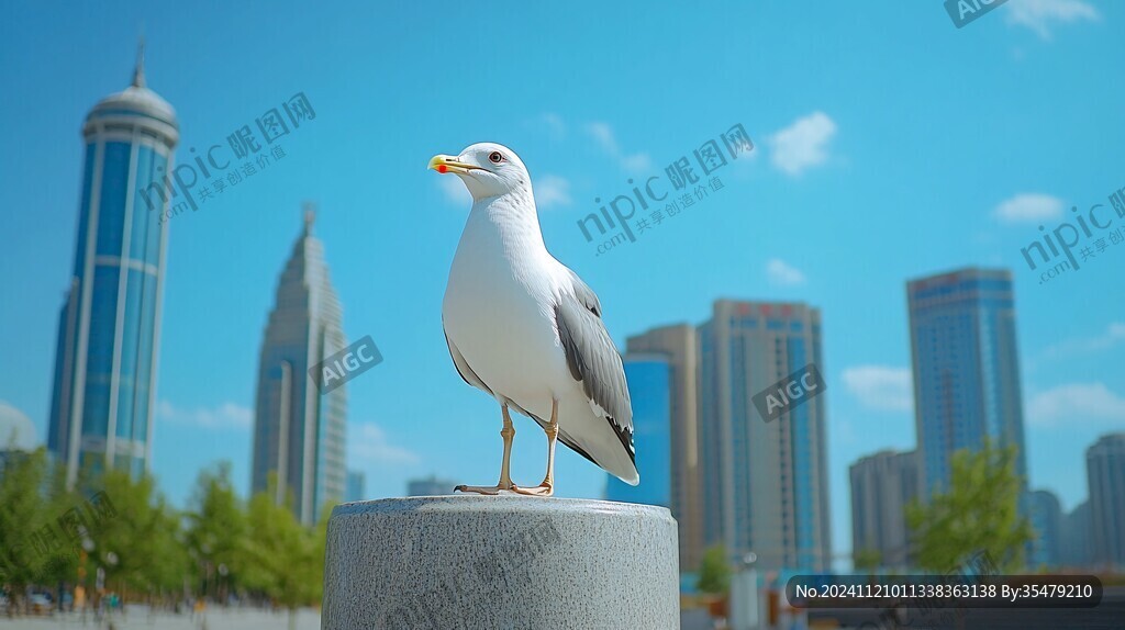 海鷗城市