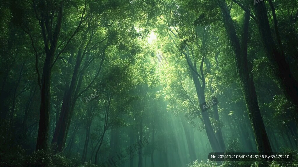 夢(mèng)幻綠色森林