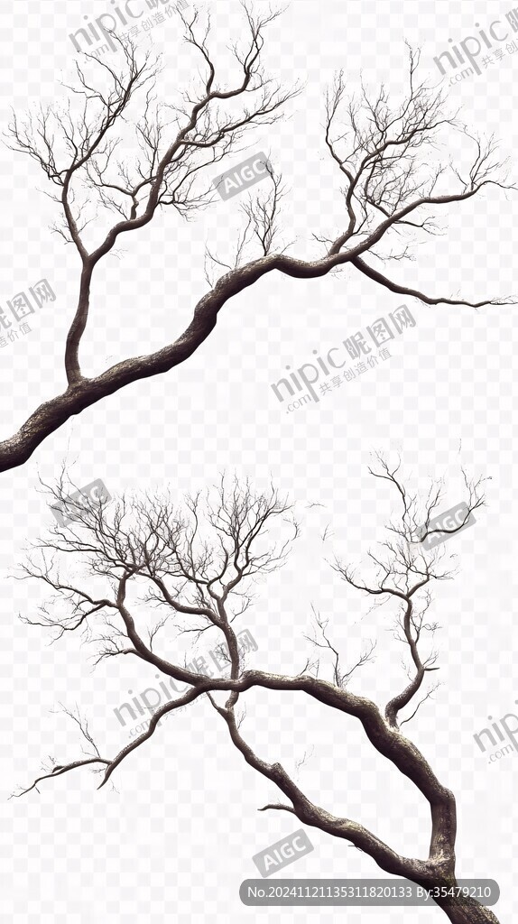 枯樹線條樹枝枯枝