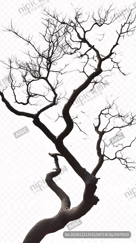 枯樹(shù)線條樹(shù)枝枯枝