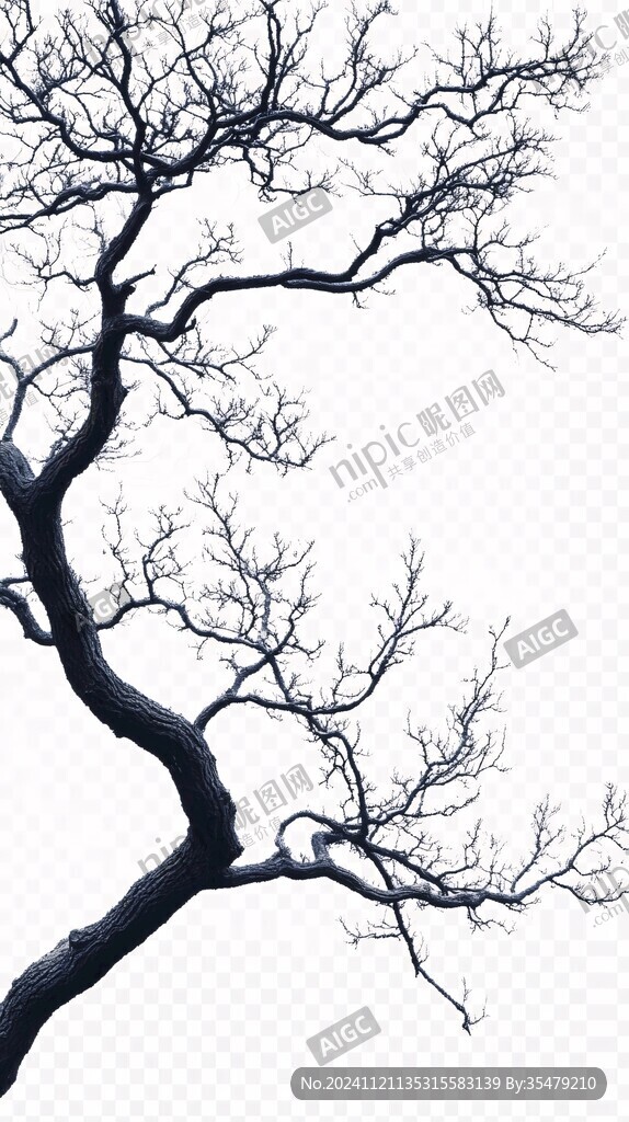 枯樹(shù)線條樹(shù)枝枯枝