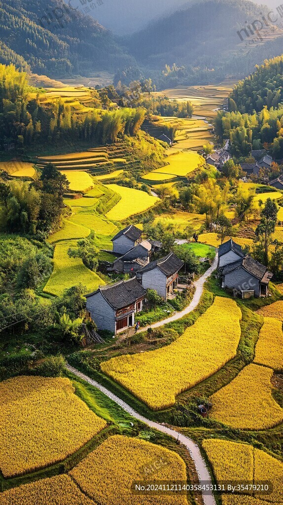 高清鄉(xiāng)村稻天