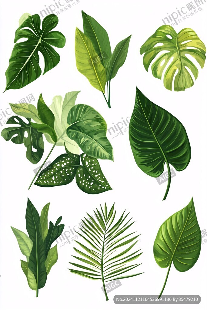 熱帶植物素材