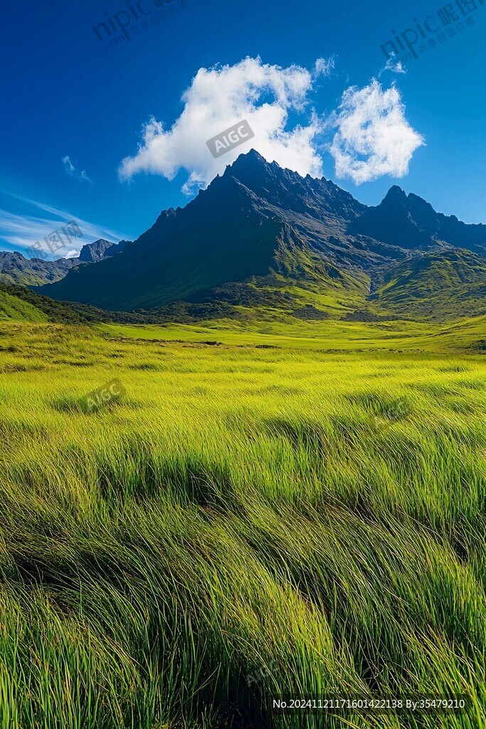 草原草叢背景大山脈