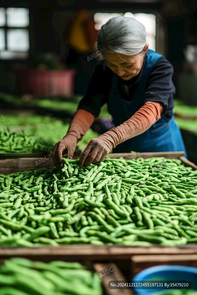 毛豆豐收