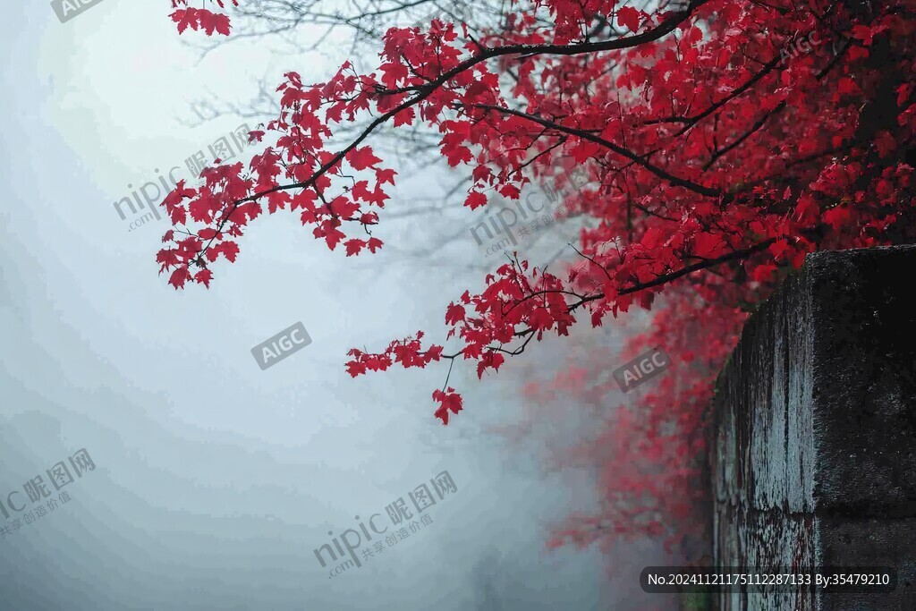 霧中紅葉