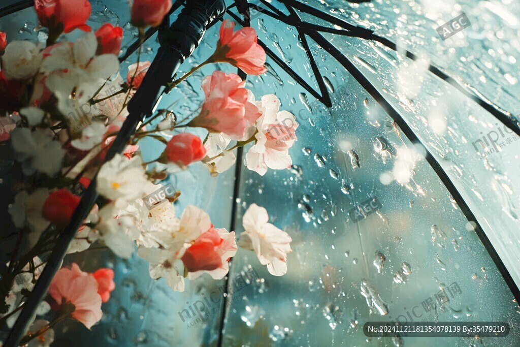 鮮花雨中花朵