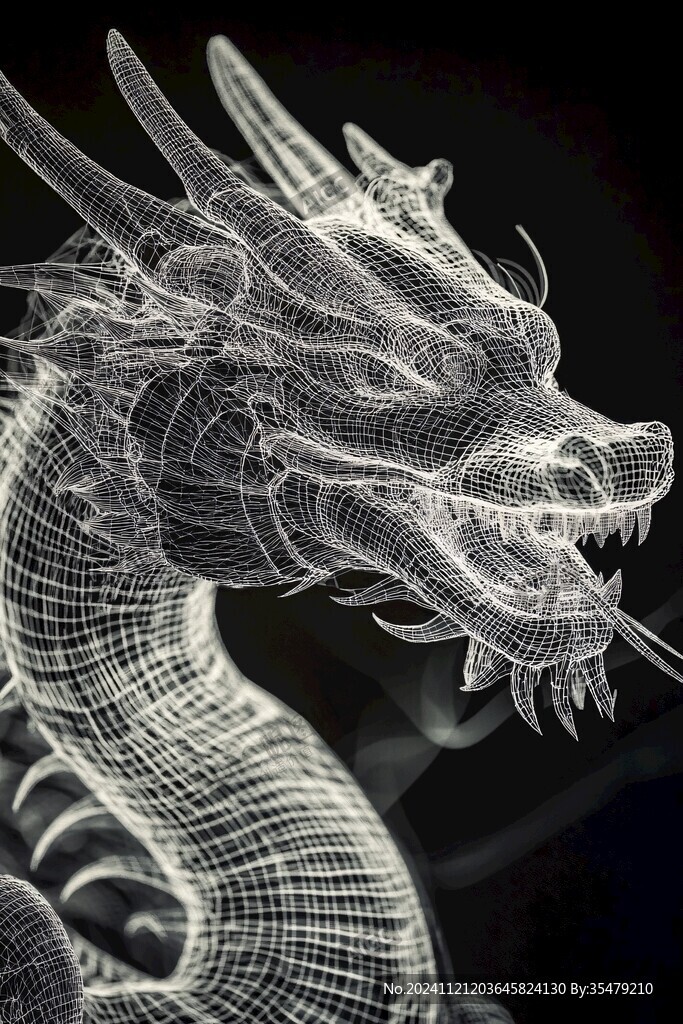 科技感龍