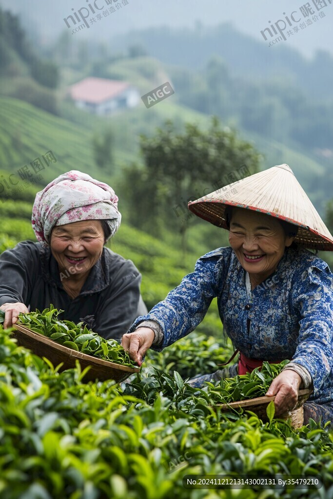 采茶忙