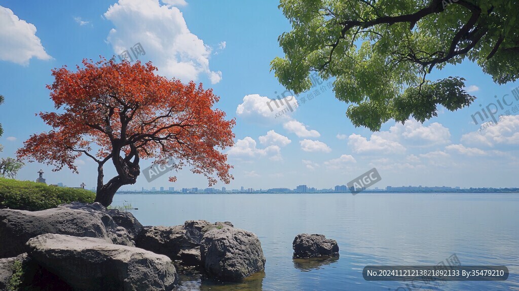 湖畔楓樹(shù)