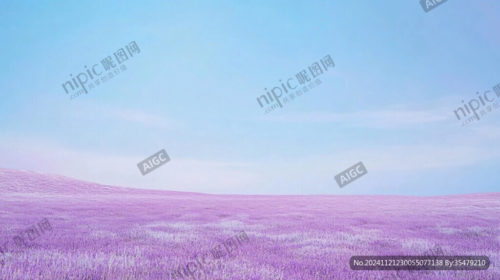 唯美紫色花海