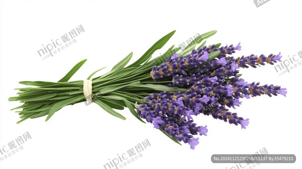 薰衣草免摳