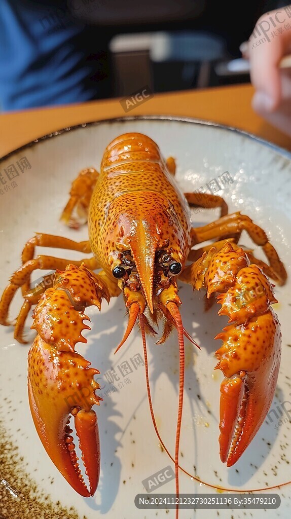 龍蝦美食