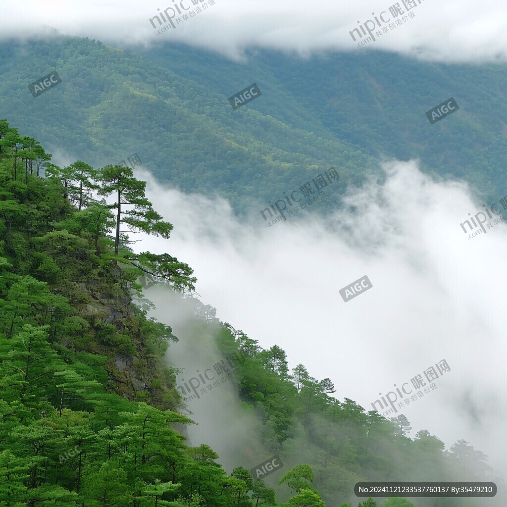 山林松柏云霧仙氣