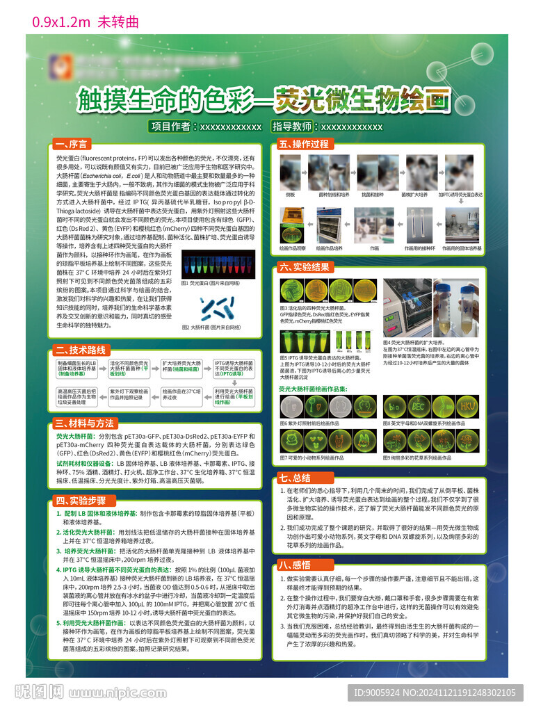 熒光微生物繪畫
