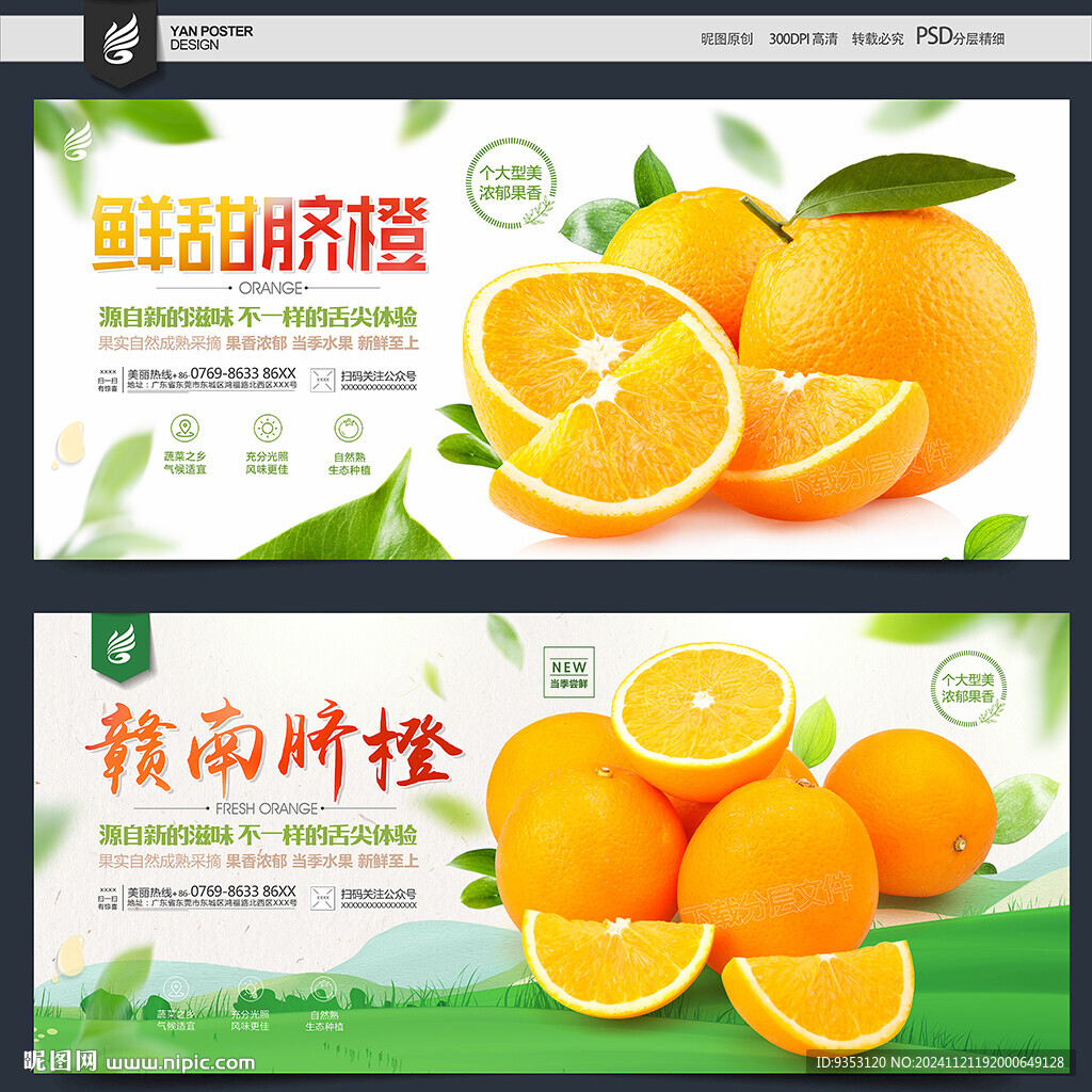 贛南臍橙