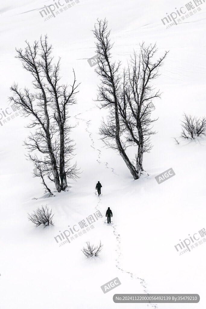 雪上人影