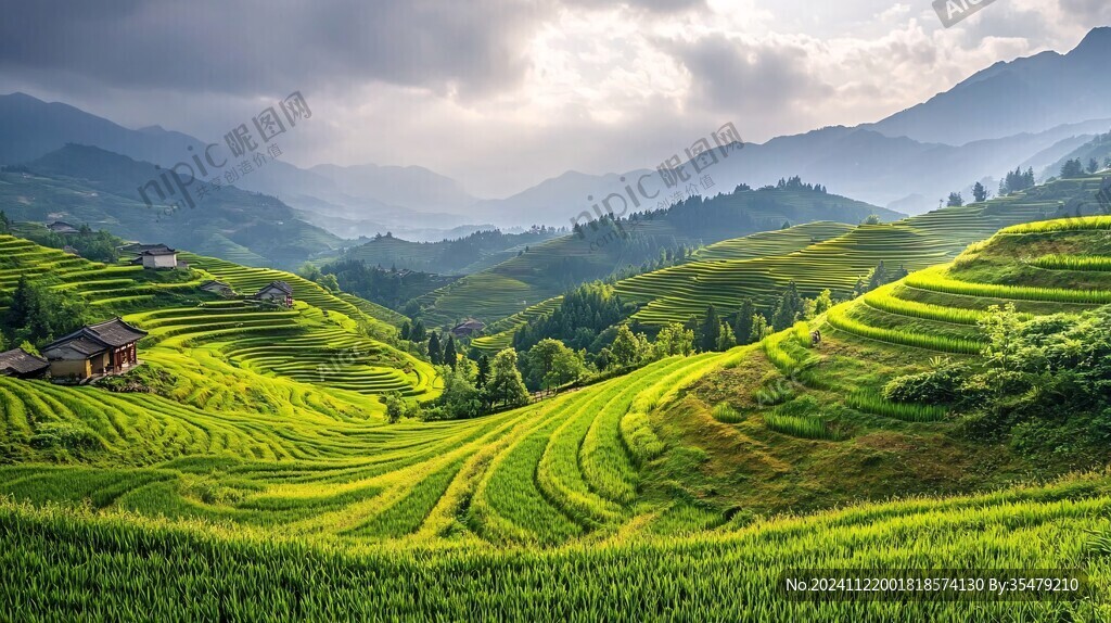 寬幅梯田風景