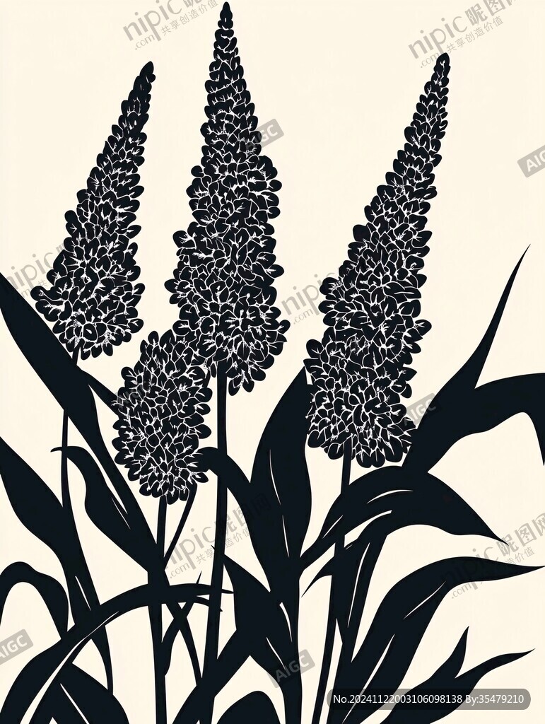 高粱穗插畫