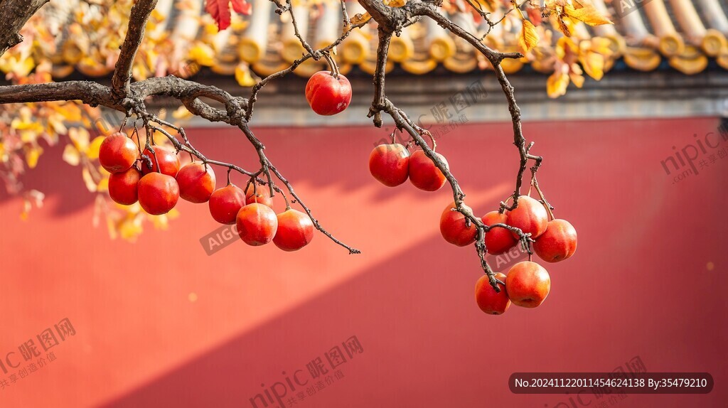 紅墻秋韻