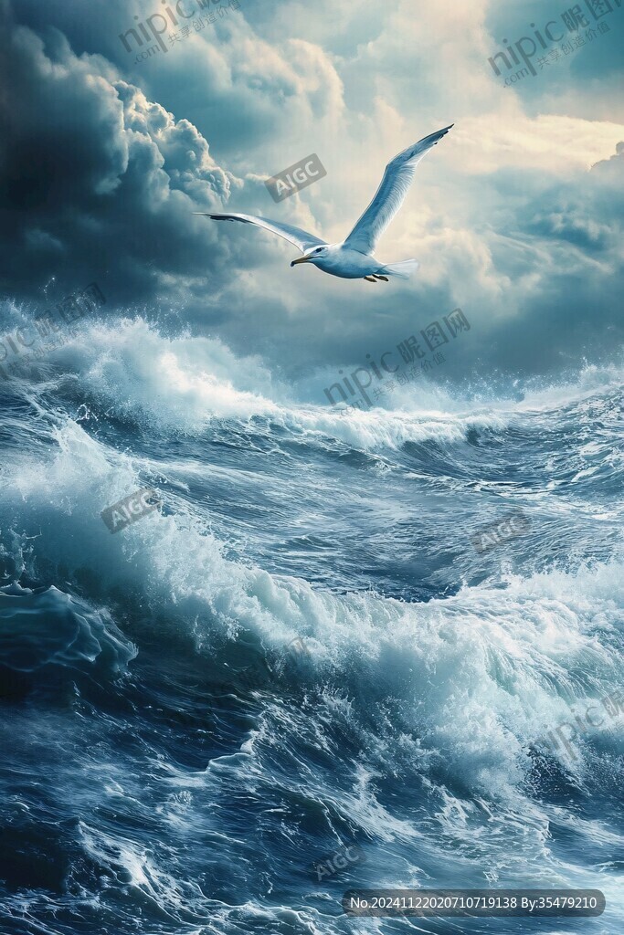 海鷗海浪大海海洋