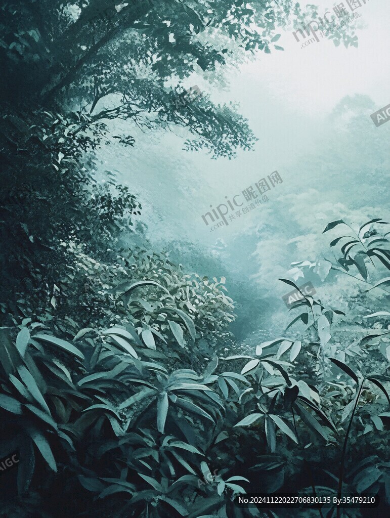 雨林插畫