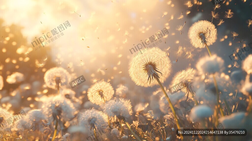 夢(mèng)幻花草植物