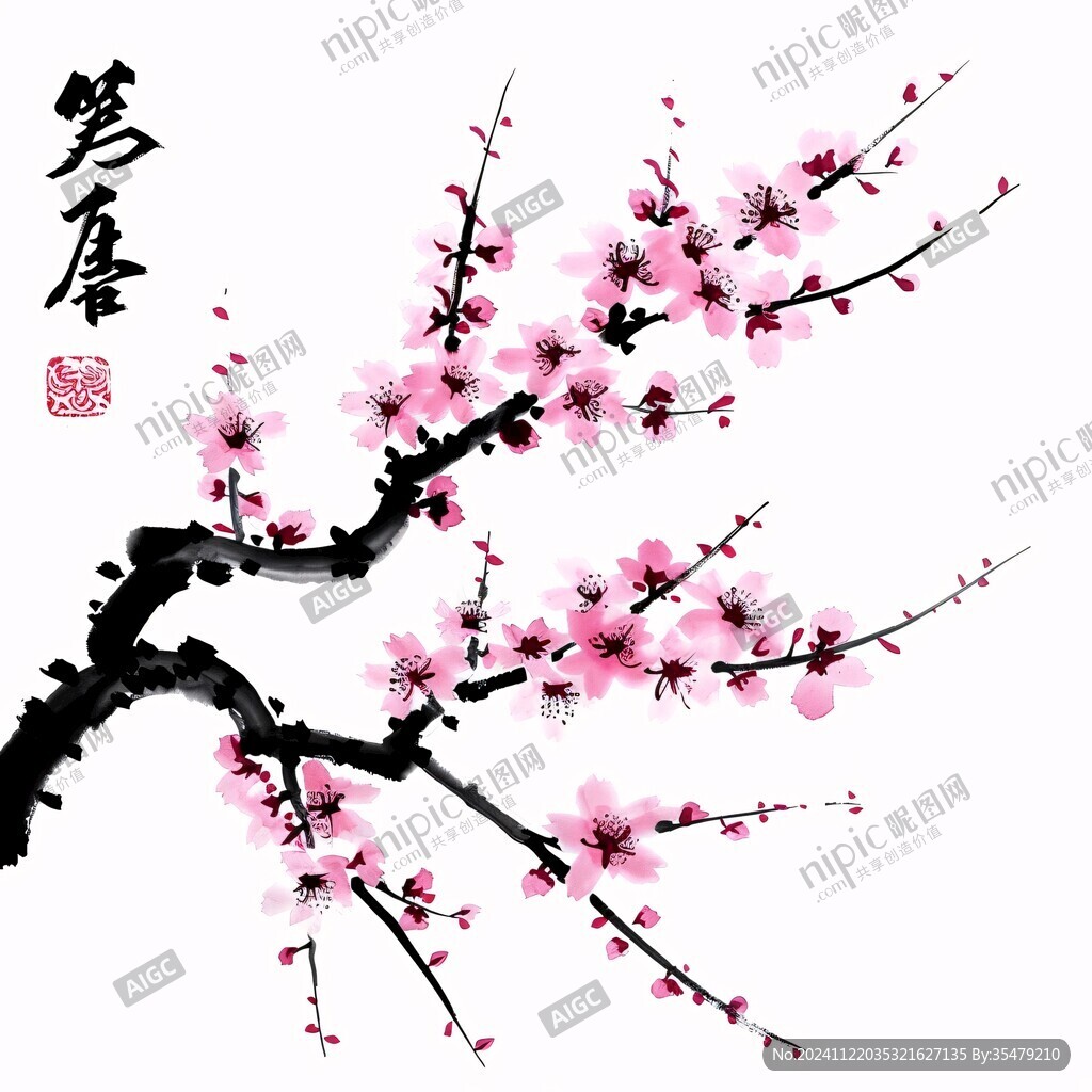 手繪梅花國畫梅花