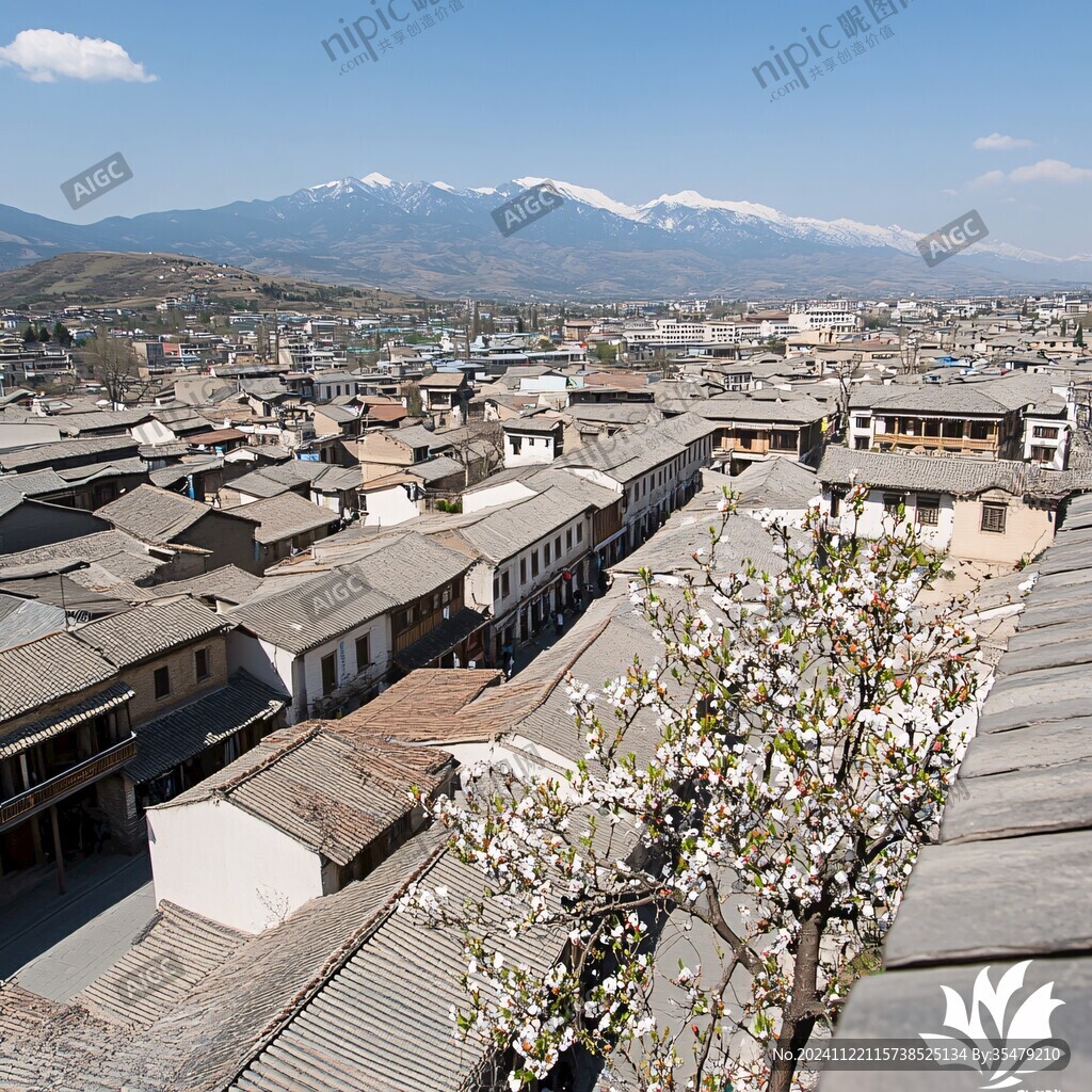 俯瞰杏花村