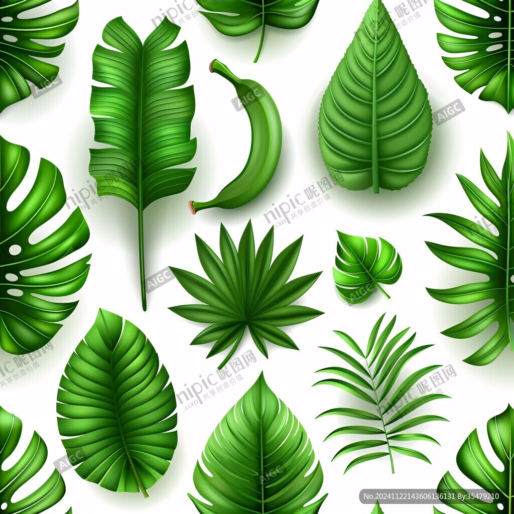 熱帶植物樹葉